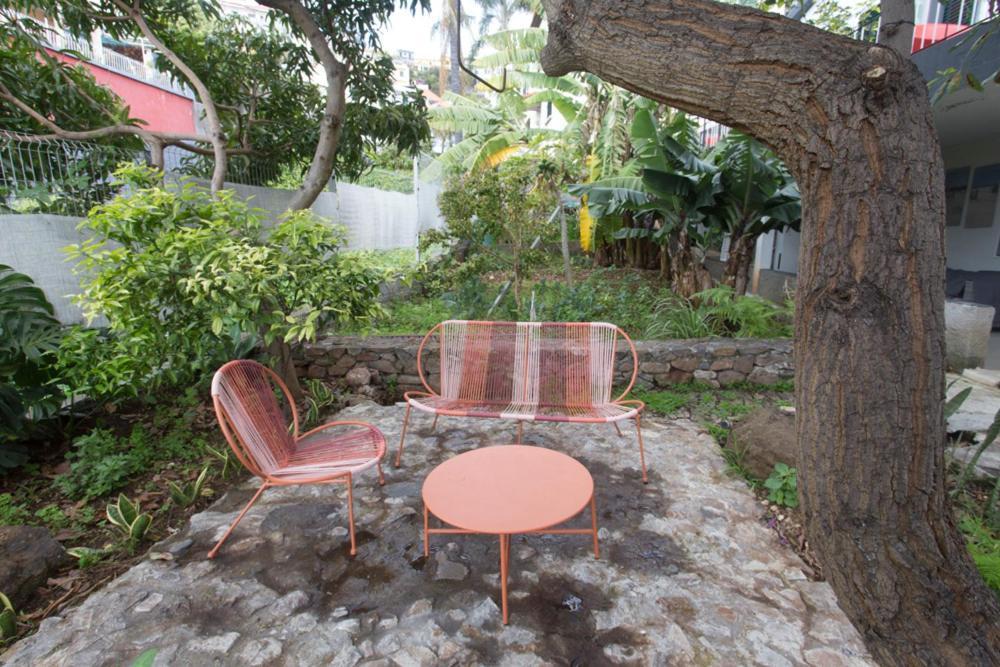 Rochinha Cozy Home Funchal  Exterior foto